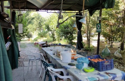 Rosignano Marittimo Cabin | FOREST AND ART IN SILENCE AND PEACE- min. 3 nights in front of n. 49