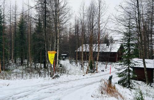 Rauhala Ski Chalet | Forest and Lake Chalet in Pallas-Yllastunturi, Levi