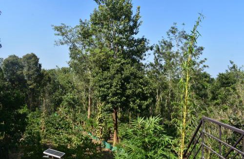 Sulthan Bathery Villa | Forest Brew Resort Wayanad