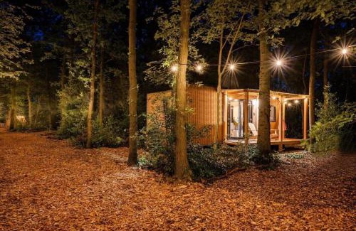 Municipality of Rijssen-Holten Cabin | Forest Cabin in the woods