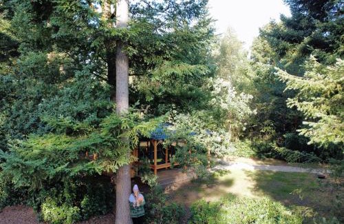 Municipality of Rijssen-Holten Cabin | Forest Cabin in the woods