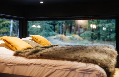 Grandham House | Forest Cube