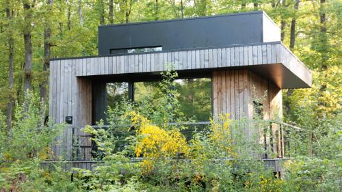 Grandham House | Forest Cube