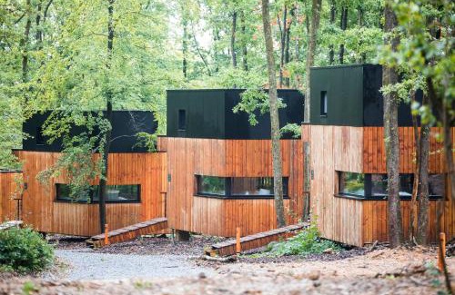 Grandham House | Forest Cube