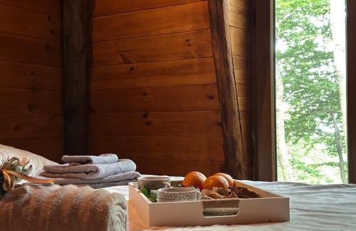 Kolasin Municipality Apartment | Forest House Paradise