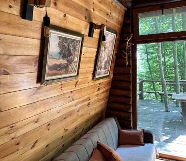 Kolasin Municipality Apartment | Forest House Paradise