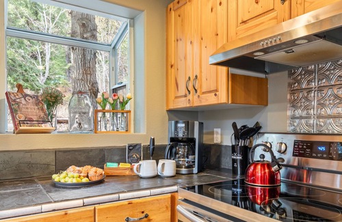 Leavenworth Cabin | Forest+Mountain Views, Hot Tub, Sauna, EV Charger, Dogs OK, Near Lake Wenatchee