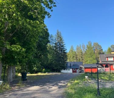 Savsjostrom House | Forest nest