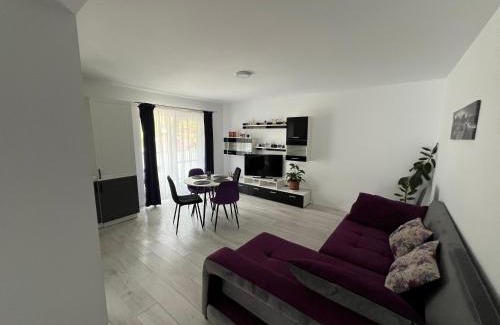 Campulung Moldovenesc Apartment | Forest View