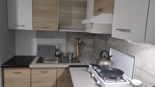 Sulejow Apartment | Forrest House w Białej