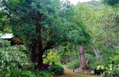 Umjindi Cottage | Fountain Baths Guest Cottages (Unit 1)