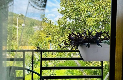 Kutaisi House | Four Seasons in Kutaisi
