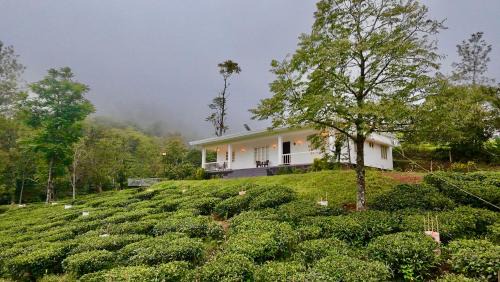 Pirmed House | Four Winds Plantation Homestay Approved by Dept of Tourism Govt of Kerala