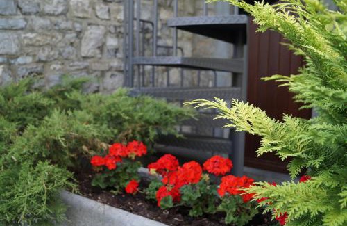 Dinant Apartment | Foyti