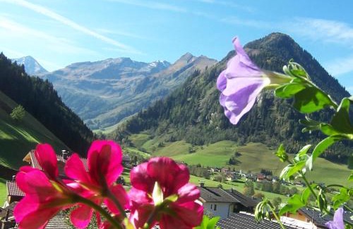 Woerth House | Frühstücks- Pension Sonnblickhof inklusive SommerCard