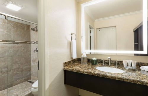 South Scottsdale Resort | Free Local Shuttle to Old Town Scottsdale, Fashion Square Mall, Camelback