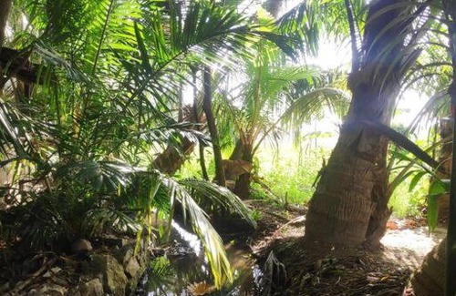 Hambantota House | Freedom in city stays Ambalantota