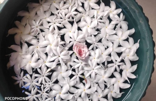 Hambantota House | Freedom in city stays Ambalantota