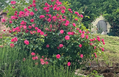 Iggelbach House | Front garden in paradise