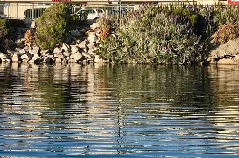 Morro Bay Hotel | Front Street Inn and Spa