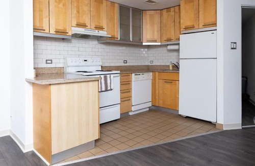 Hyde Park Apartment | FRONTDESK 2 BR Apt 6 miles to The Shedd Aquarium
