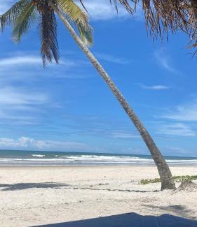 Aritagua House | Fruit Shadow House