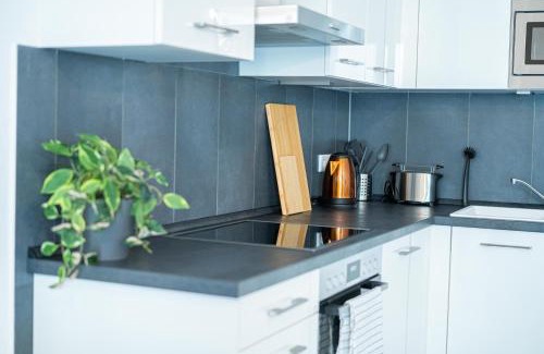 Friedrichstadt Apartment | FullHouse - Dresden - A6 - Washing Machine - Terrace - Nespresso