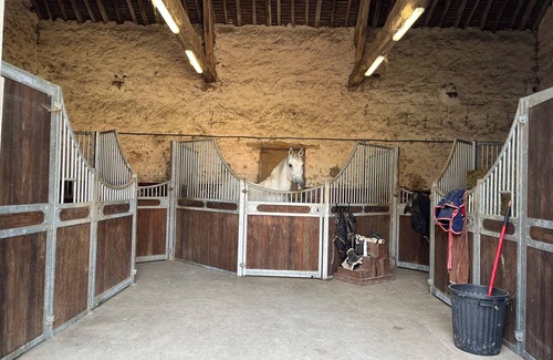 Lorrez-le-Bocage House | Fully renovated country house, possibility to bring your horses