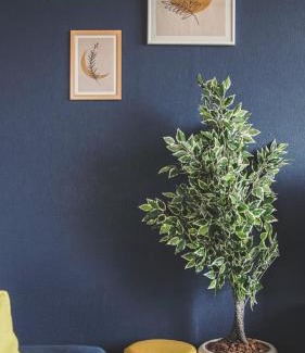 Furano Villa | Furano View House