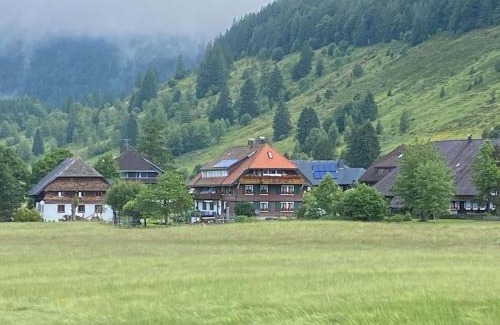 Menzenschwand-Hinterdorf House | Gästehaus Kaiser