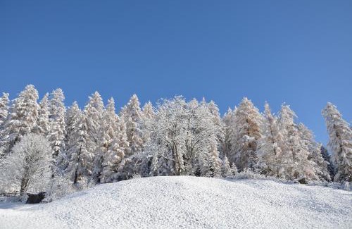 Pfafflar House | Gästehaus Klug