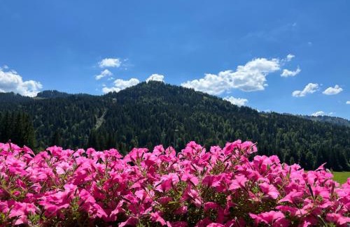 Balderschwang Apartment | Gästehaus Nussbaumer