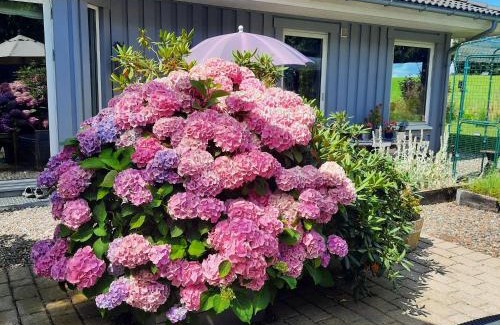 Praesto Bed & Breakfast | Gæstehus