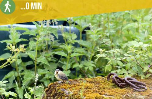 Betaille House | Gîte écologique avec vue Forêt & Vallée Dordogne !