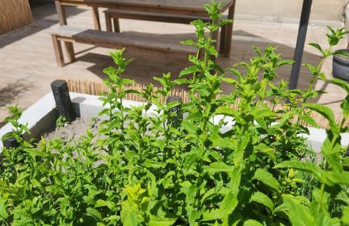 Lessay House | Gîte 3 étoiles l'incontournable de Lessay - 6 pers - jardin clos - bébé, Chiens ok -mer 6kms