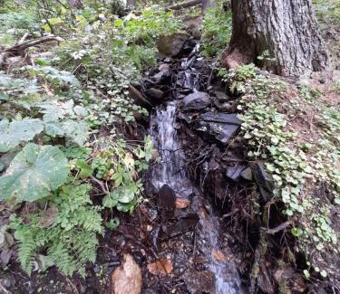 La Plagne-Tarentaise Apartment | Gîte Les Grands Champs