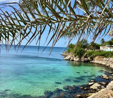Anse-Bertrand House | Gîte Tournesol - À 2 min de la plage et du bourg