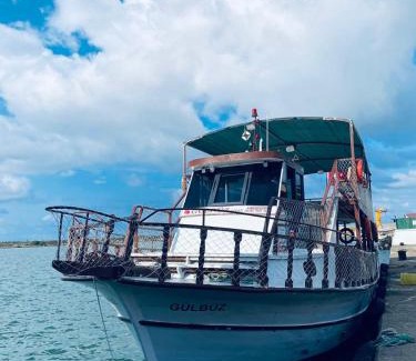 Unye Boat Rental | Gülbüz Gezi teknesi