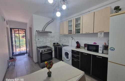 Tirgu Ocna House | Gabi