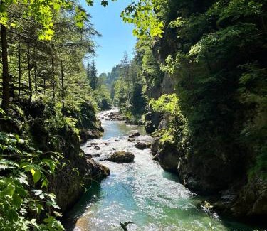 Hohenthurn House | Gaia Dorf