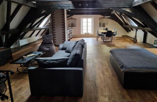 Plzen Apartment | Galerie Vila Lucia 5 -Loft apartmán