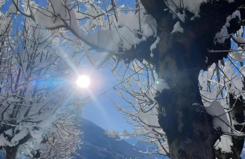 Bad Gastein House | Gasthof Appartements Gamskar