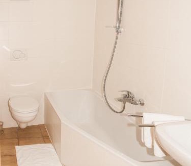 Schwanenstadt House | Gasthof Hofbauer