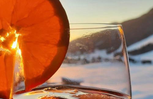 Balderschwang Apartment | Gemütliche Ferienwohnung Bergwiese, 2-Raum, separates Schlafzimmer, schönen Balkon oder Terrasse, Komfort Ausstattung, ruhige Südlage, kostenfrei WLAN und schöne helle Sauna, Brötchenservice, Parkplatz, Hunde auf Anfrage, E-Tankstelle, Sonnenlage