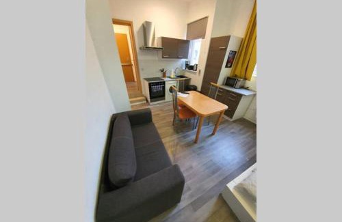 Giebichenstein Apartment | Gemütliches Apartment neben der Burg