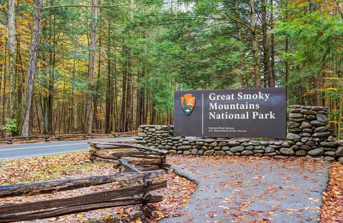 Gatlinburg Cabin | Gentle Bens Den by Jackson Mountain Homes