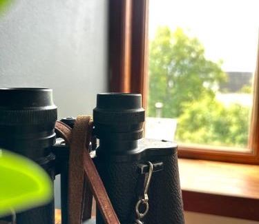Hoganas House | Genuint hus i Höganäs hamn