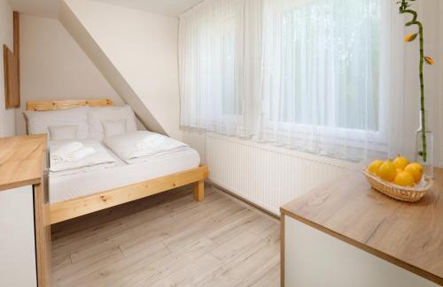 Salgotarjan Villa | Geosun House