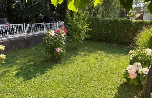 Abrahamhegy Apartment | Gerbera Apartman