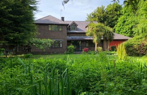 Llanrug House | Gernant